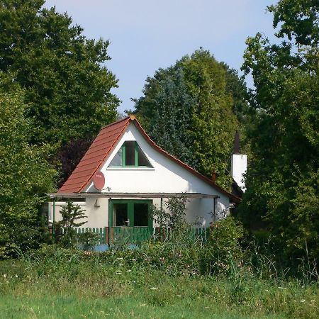 Haus am See Lembruch Exterior foto